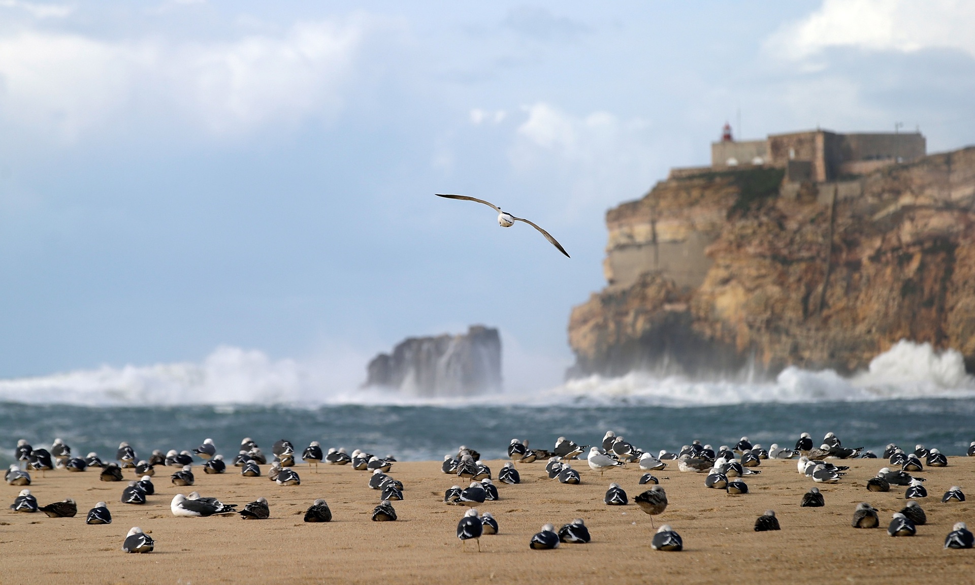 Media mundiais no Reino da Nazaré